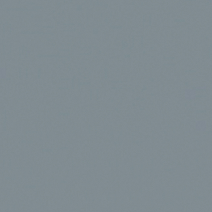 NOS S4005-B20G Squirrel Grey